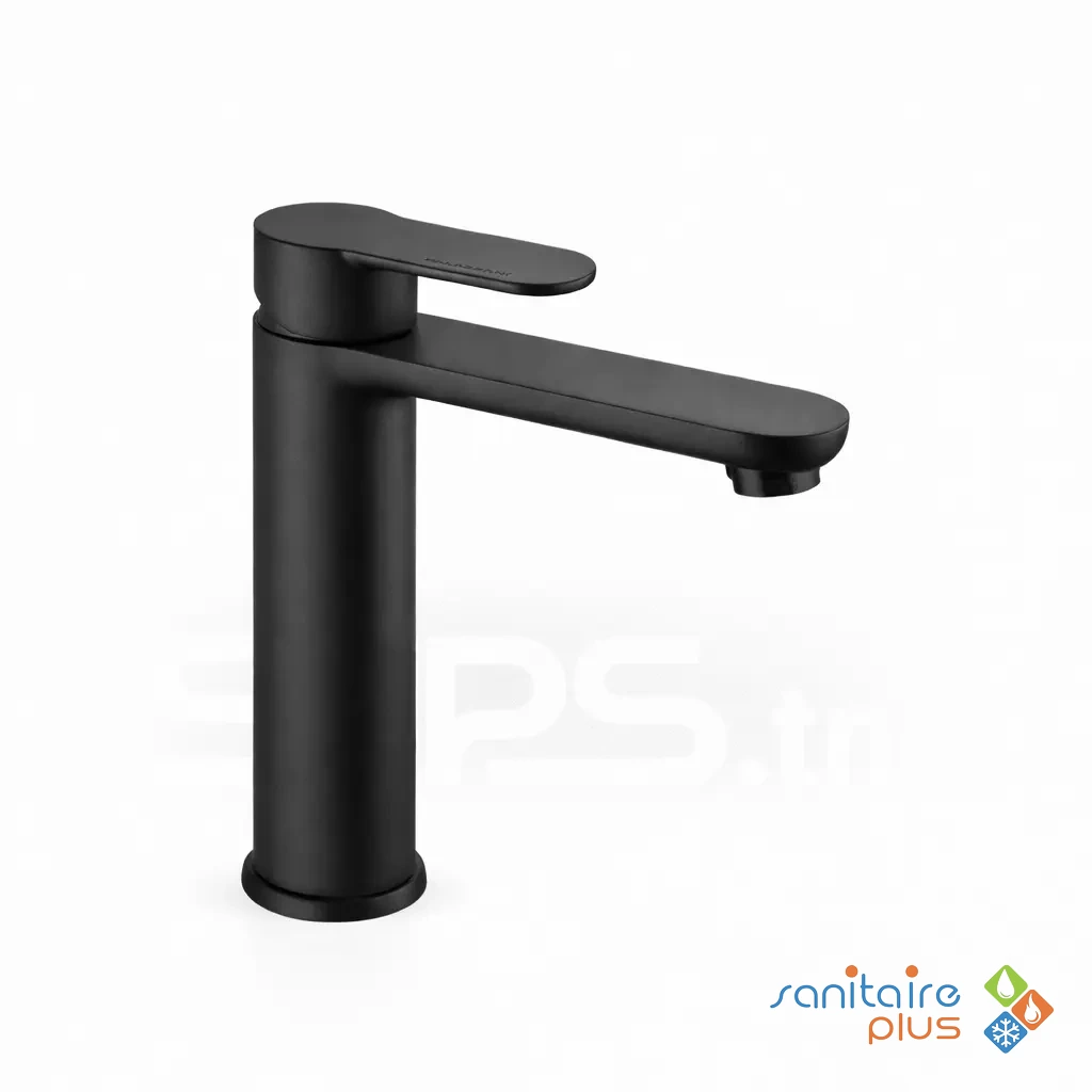 Mitigeur vasque long noir ITALO – PALAZZANI